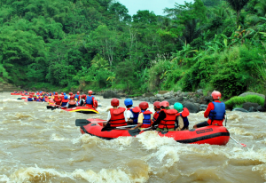 Rafting arung jeram