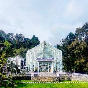 team building di kebun raya bogor