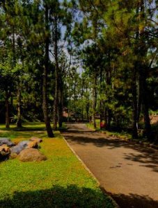tempat outing kantor di bogor